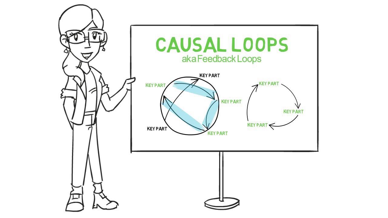 Introduction to Causal Loops