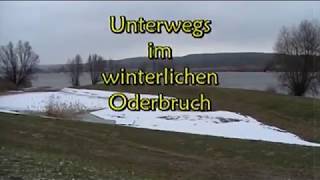 Oderbruch