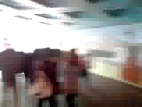 Wembley FA TROPHY, York - Stevenage