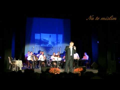 Miša Petronijević - koncert sedmi deo