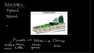 ECOLOGICAL SUCCESSION - Primary, Secondary, Autogenic, Allogenic | UPSC | PCS| ENVIRONMENT