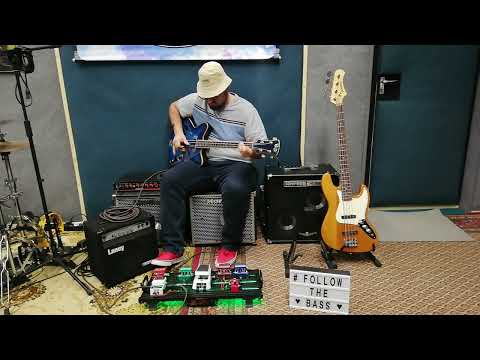 Johnson Jazz Bass/Laney RB1/Hartke HD500/Hartke TX600/HX112
