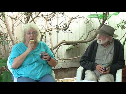 2016-07-02 NSSAT Group Self (Review of Yesterday's Talk)