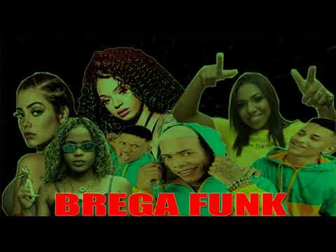 TOP BREGA FUNK CD 2021 OS MELHORES LANÇAMENTOS E AS MAIS TOCADAS
