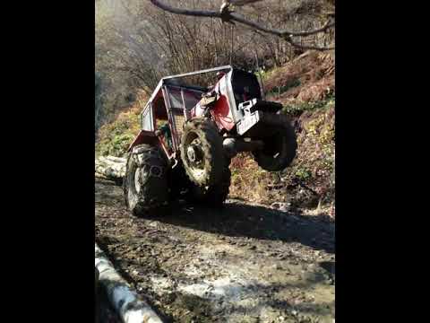 Braca Dmitrovic Tolisnica