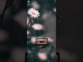 Mantaram ️ ️ringtone
