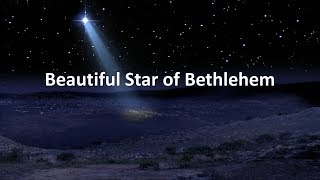 Beautiful Star of Bethlehem