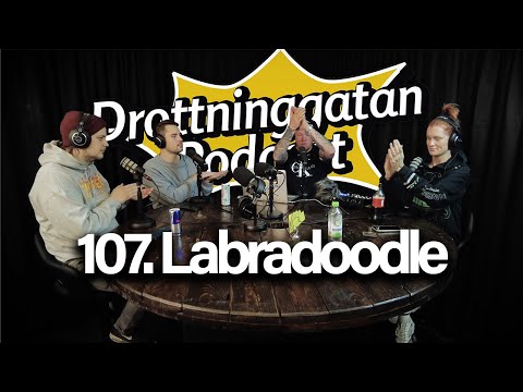 Labradoodle - Drottninggatan Podcast #107