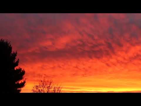 Nemesis Feat Asfhel - "Venit Din Iad" (Music Video)