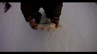 Ловля голавля зимой на малых реках