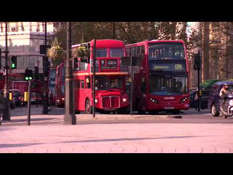 Unit 3 Big Question - Bright Ideas 2