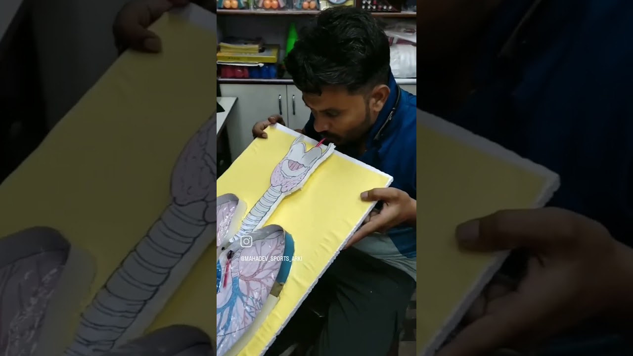 #respiratory#system#model#mahadev#sports#arki# hp