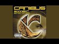 100 Bars