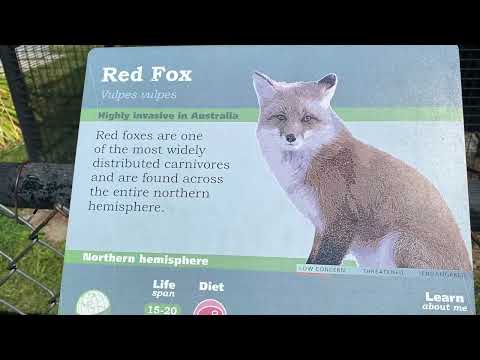 303 A visit to the Wild Side, ZOOTAH, Utah