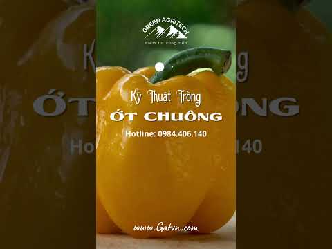 , title : 'Kỹ thuật trồng ớt chuông | Nông nghiệp xanh'