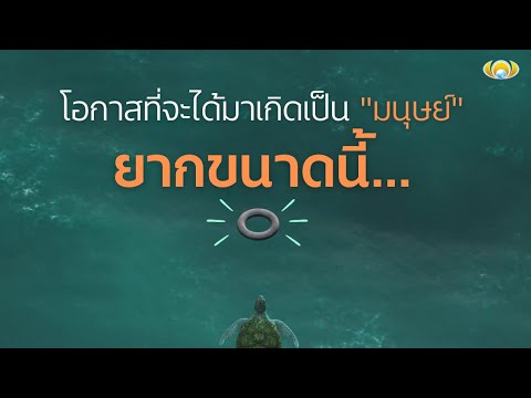 รูปภาพ ดาวโหลด Google Youtube SEO