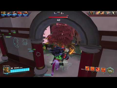 paladins hacker lmao