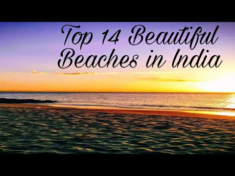 Top 14 Beaches of lndia|| Information of lndia|| Shriya's Amazing World