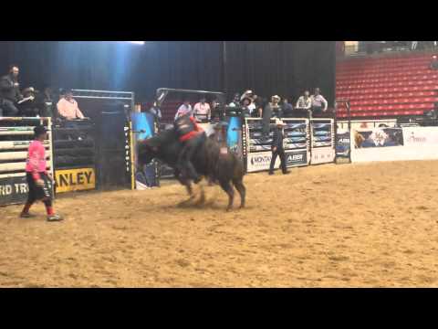 10 Damn Frustrating •ABBI Lifetime Derby •10-24-14