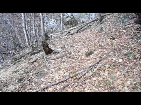 Aproape de Valea Babei I