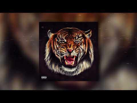(FREE) Tyga x Offset x Rich The Kid Type Beat - Tiger | Free Club Type Beat 2019