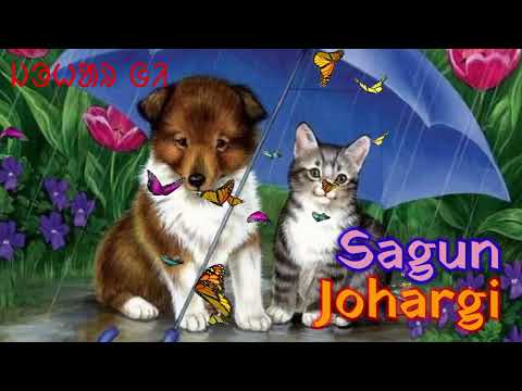 Setak Johar (Good morning) WhatsApp Video