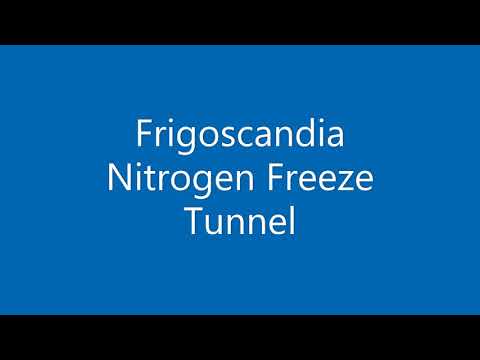Frigoscandia Nitrogen Freeze Tunnel