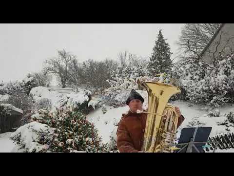 Mr Tuba, plays Shostakovich at Minus 8 degrees