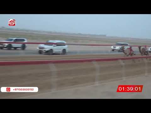  ش 4 (مياس) لـ سلطان محمد بن مرخان المنصوري 3:02 ، شارة صندوق الحلفه 2026/08/17 فطامين سويحان