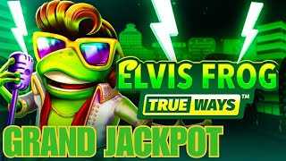 Elvis Frog True Ways Grand Jackpot Mega Win - Wild Fortune Online Casino - Slots