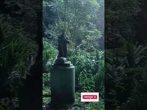 Esse lugar existe em Santa Catarina!