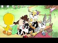 Baby Looney Tunes A Corrida