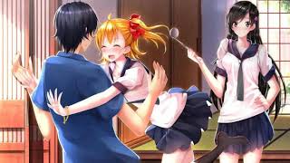 Nightcore - When You Leave (Numa Numa) - Basshunter Radio Mix