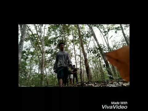 Angling Darma The Series