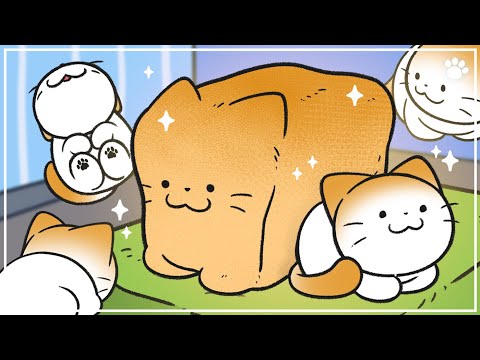 你聽過「貓咪麵包」嗎？帶你看 5 個你家主子會「貓咪麵包」的原因！(5 Reasons Why Cats Loaf   When To Worry?)