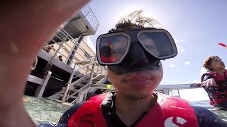 Great Barrier Reef 2017: All GoPro Footage