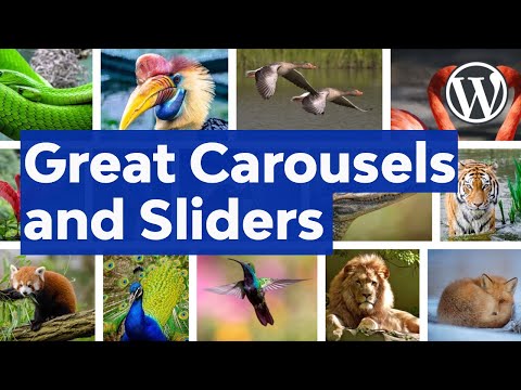 Vue js Tutorial Beginner to Front End Developer