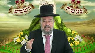 מתן תורה באונס או ברצון – חג השבועות – הרב דוד הכהן מרא דאתרא גן יבנה