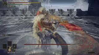【土曜定期】完全初見のELDEN RING #40