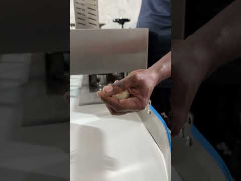 Rasgulla Making Machine