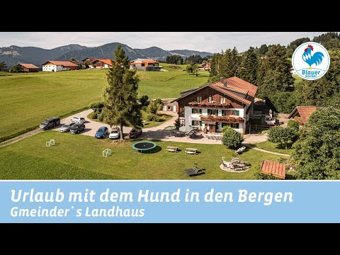 Urlaub mit Hund in Bayern | Urlaub mit dem Vierbeiner im Gmeinder´s Landhaus