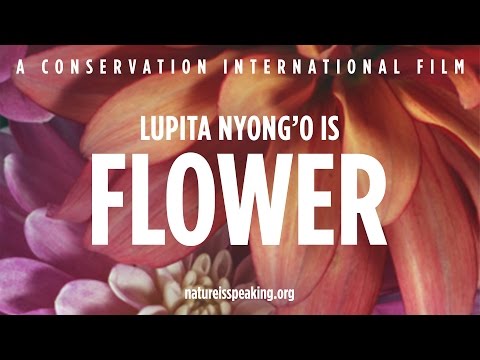 Nature Is Speaking: Lupita Nyong´O is The Flower - 大自然在說話: 露碧達安柯聲演「花」| 保護國際基金會 (CI)