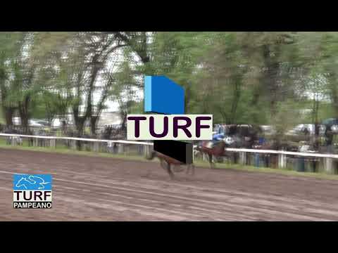 TURF - CARLOS CASARES - 12-10-2026 - FOTOCHART FERNANDEZ