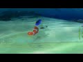 Finding Nemo Part 2