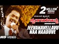 Jeevanavellavu Naa Haaduve Video Song Shrungara Kavya Kannada Movie Raghuveer Sindhu Hamsalekha