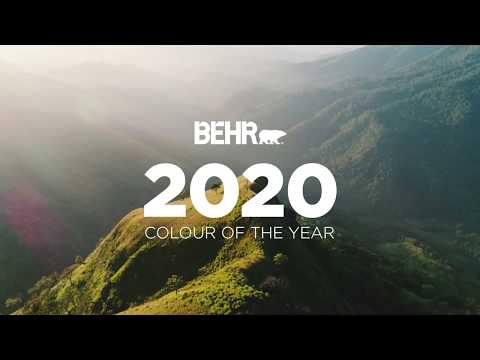 BEHR 2020 Colour of the Year - Back to Nature S340-4