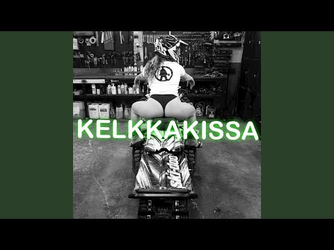 Kelkkakissa