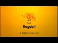 Ragdoll 2001