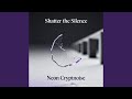 Shatter the Silence
