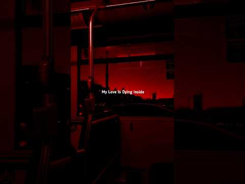 One Kiss x Stereo Love | Dua lipa x Edward Maya | #shorts